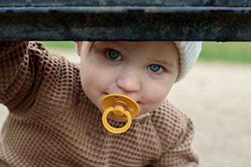 BIBS Pacifiers Colour Collection | Natural Rubber Baby Pacifier | Set of 2 BPA-Free Soothers | Made in Denmark | 0+ Months (Pack of 2) | Blossom