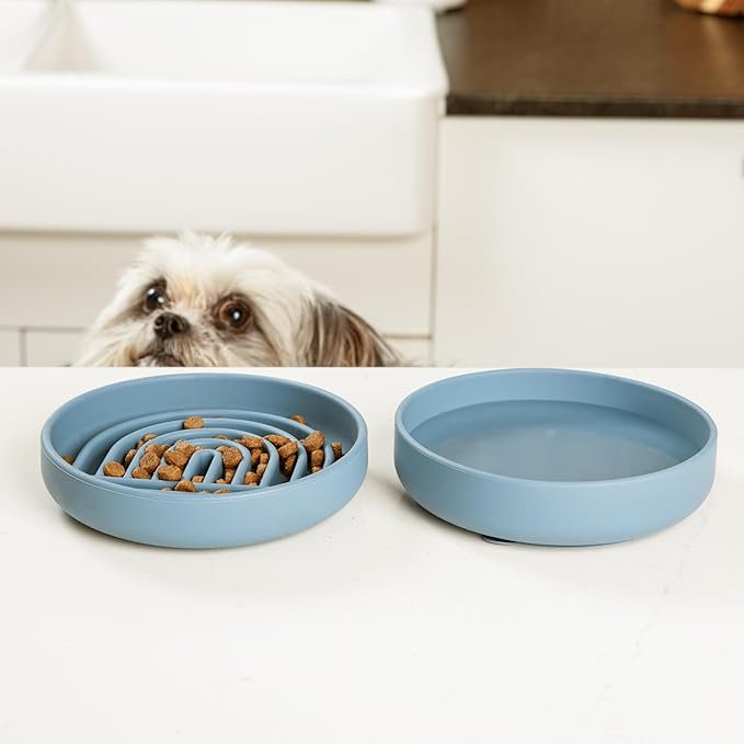 Should We Go? Slow Feeder for Dogs & Cats, The Slowdown Bowl Silicone Slow Eating Mealtime Solution with Modern Lick Mat Design, Reduces Gulping, Fits 1 Cup, 6” Across x 1.25” Tall, Small-Sage