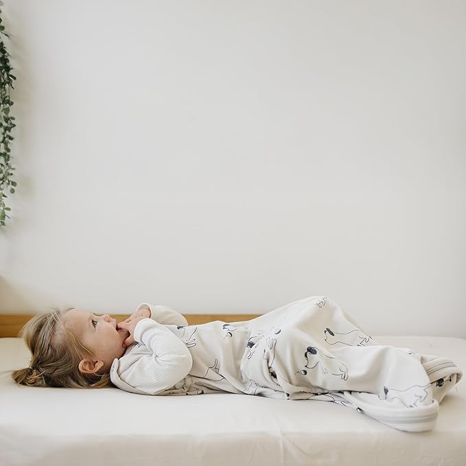 Woolino Toddler Sleeping Sack, 4 Season Merino Wool and Organic Cotton Baby Sleep Bag, 2-4 Years, Puppy