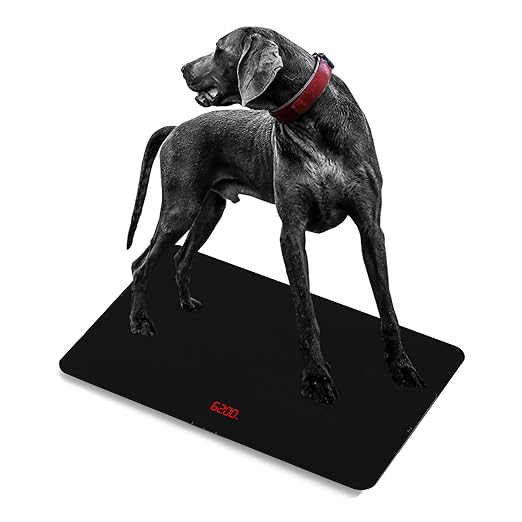 SIKE Medium-Large Breed Veterinary Scale, Dog Scale (±10g) Accuracy, Red LED, 32 x 20 inch Tempered Glass Platform with Anti Slip Sticker, Digital Pet Scales