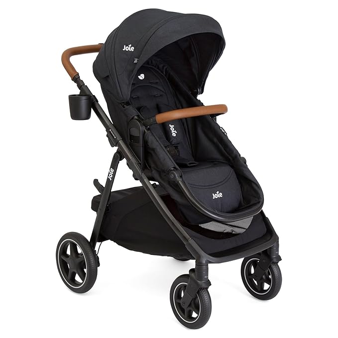 Joie Baby, Ginger LX 4-in1 Stroller + Joie Baby Mint Latch Car Seat (Shale Dark)