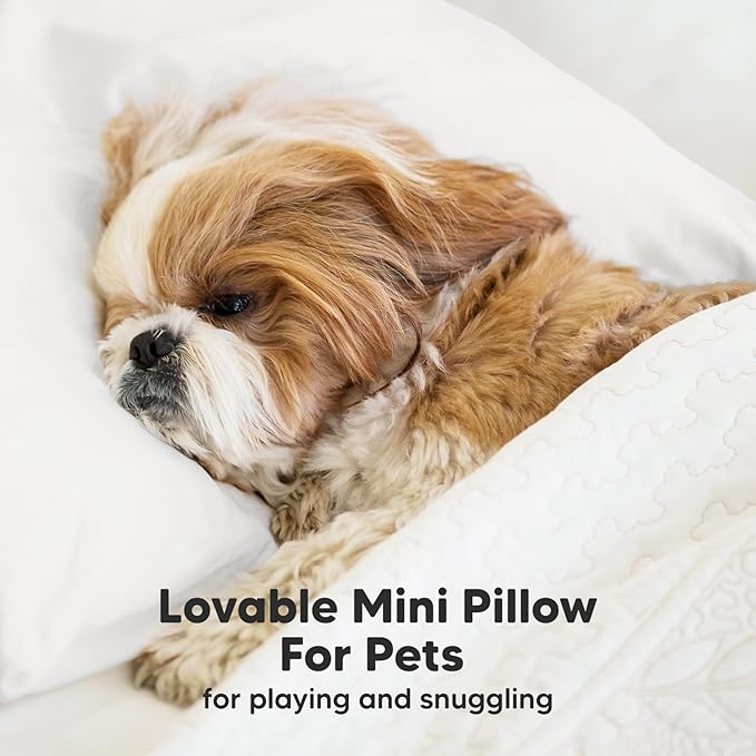 Mini Toddler Pillow with Pillowcase - 9x13 My Little Dreamy Travel Kids Pillow for Sleeping, Toddler Bed, Small, Tiny, Organic Cotton Pillowcase, Soft & Breathable, Kids 2-4 Years Old(Soft White)
