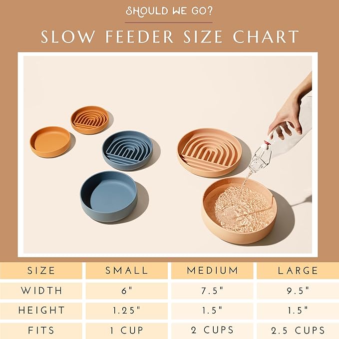 Should We Go? Slow Feeder for Dogs & Cats, The Slowdown Bowl Silicone Slow Eating Mealtime Solution with Modern Lick Mat Design, Reduces Gulping, Fits 1 Cup, 6” Across x 1.25” Tall, Small-Charcoal