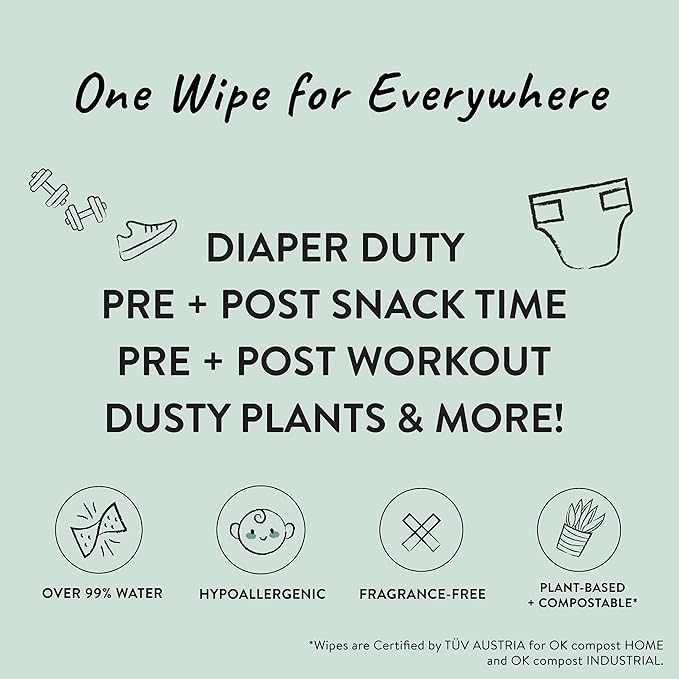 The Honest Company Clean Conscious Multi-Use Wipes Hypoallergenic and Unscented for Sensitive Baby Skin Over 99% Water Compostable Plant Based Baby Wipes Rainbow 60 Count