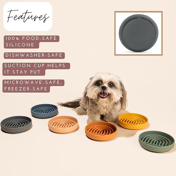 Should We Go? Slow Feeder for Dogs & Cats, The Slowdown Bowl Silicone Slow Eating Mealtime Solution with Modern Lick Mat Design, Reduces Gulping, Fits 1 Cup, 6” Across x 1.25” Tall, Small-Blush