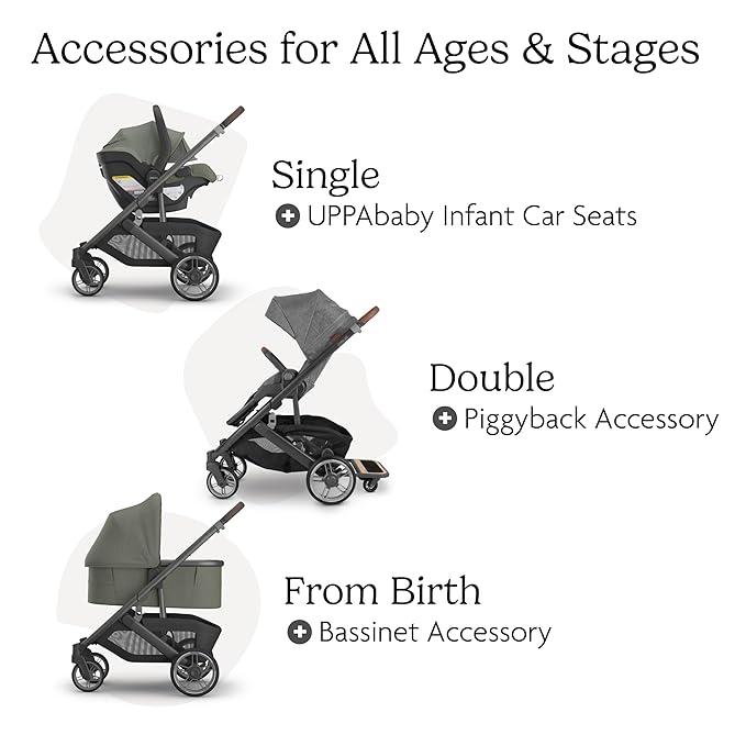 UPPAbaby Cruz V3 Stroller - from Birth + Car Seat Compatible - Full-Size, Reversible Seat - Infant Insert, Bug and Rain Shields Included - Evelyn (Meadow Green/Graphite Frame/Chestnut Leather)