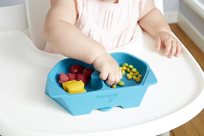 Nummy BOWL - Pure Silicone Bowl with Hidden Suction Cup for Babies and Toddlers | BPA and Phthalate Free | Microwave and Dishwasher Safe | Great Baby Gift (Blue, Puppy Pal Collection)