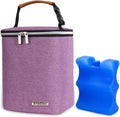 Breast Milk Cooler Bag with Ice Pack Fits 4 Baby Bottles Up to 9 Ounce, Baby Bottle Bag Great for Nursing Mom Daycare, Purple