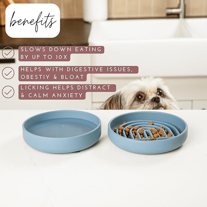 Should We Go? Slow Feeder for Dogs & Cats, The Slowdown Bowl Silicone Slow Eating Mealtime Solution with Modern Lick Mat Design, Reduces Gulping, Fits 1 Cup, 6” Across x 1.25” Tall, Small-Terracotta