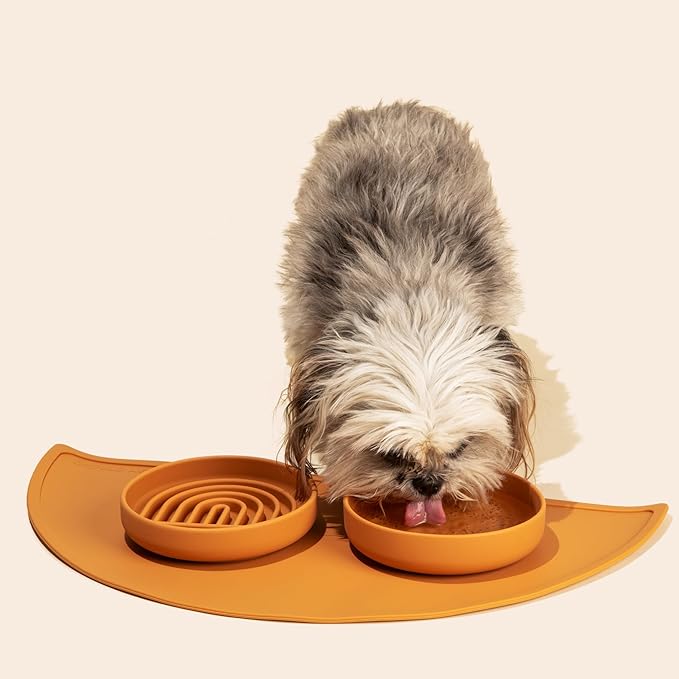 Should We Go? Slow Feeder for Dogs & Cats, The Slowdown Bowl Silicone Slow Eating Mealtime Solution with Modern Lick Mat Design, Reduces Gulping, Fits 1 Cup, 6” Across x 1.25” Tall, Small-Honey