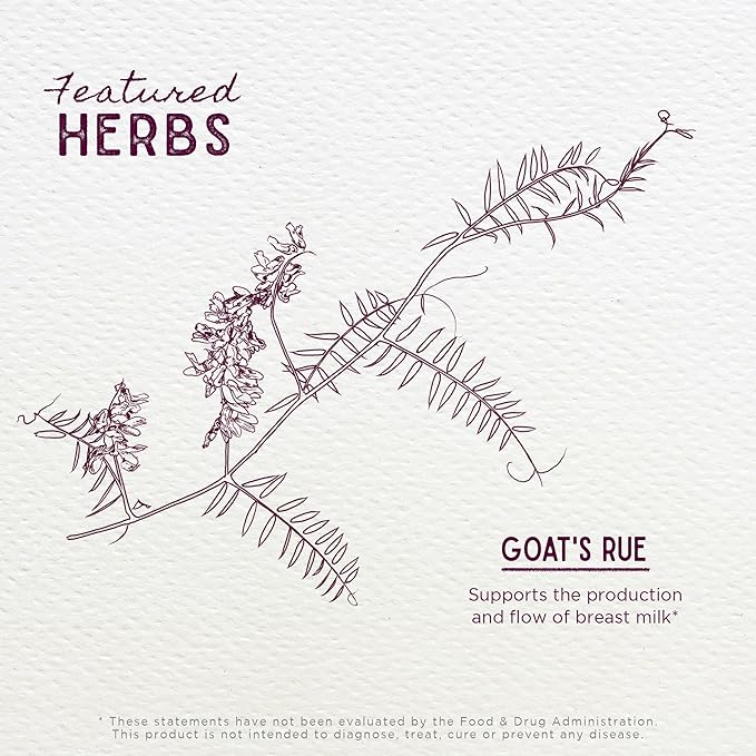 WishGarden Herbs Goat's Rue Lactation Supplement - Organic Herbal Tincture to Increase Breastmilk Supply, Fenugreek Free Lactation Supplement, Breast Milk Supply Boost, Flow, Quality & Production, 4oz