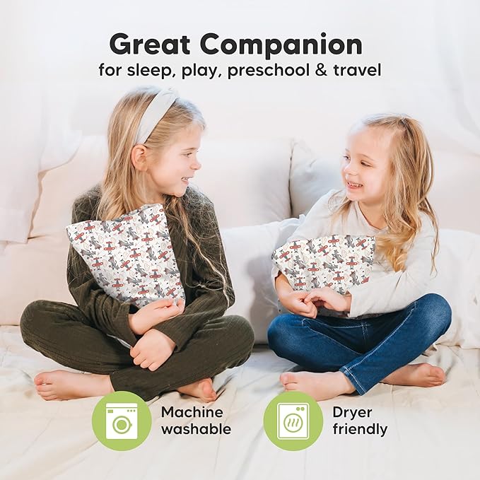 Mini Toddler Pillow with Pillowcase - 9x13 My Little Dreamy Travel Kids Pillow for Sleeping, Toddler Bed, Small, Tiny, Organic Cotton Pillowcase, Soft & Breathable, Kids 2-4 Years Old (Aircraft)