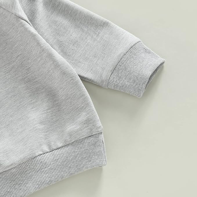Toddler Baby Boy Clothes Solid Color Long Sleeve Crewneck Sweatshirt Top Casual Pants Set 2Pcs Fall Winter Outfits
