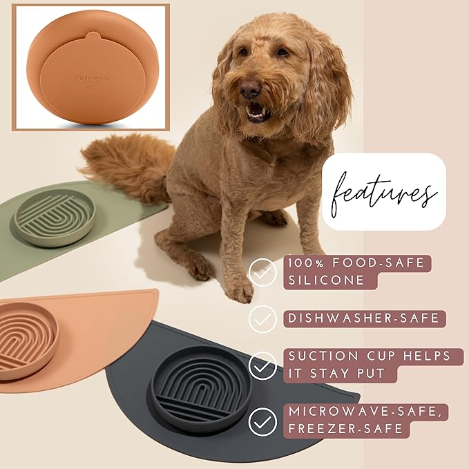 Should We Go? Slow Feeder for Dogs & Puppies, The Slowdown Bowl Silicone Slow Eating, Modern Lick Mat Design, Reduces Gulping, Fits 2 Cups, 7.5” Across x 1.5” Tall, Mealtime Challenge, Medium-Charcoal