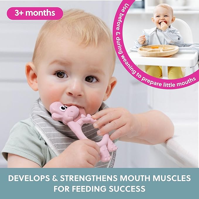 Bibado - Dotty The Dinosaur Teething Toys, Blush - Multi-Sensory Teether - BPA Free Baby Toy - Strengthen Mouth Muscles & Learn Feeding - Dentist Approved - Baby Essentials & Baby Toys - 3 Months+