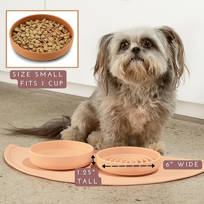 Should We Go? Slow Feeder for Dogs & Cats, The Slowdown Bowl Silicone Slow Eating Mealtime Solution with Modern Lick Mat Design, Reduces Gulping, Fits 1 Cup, 6” Across x 1.25” Tall, Small-Honey