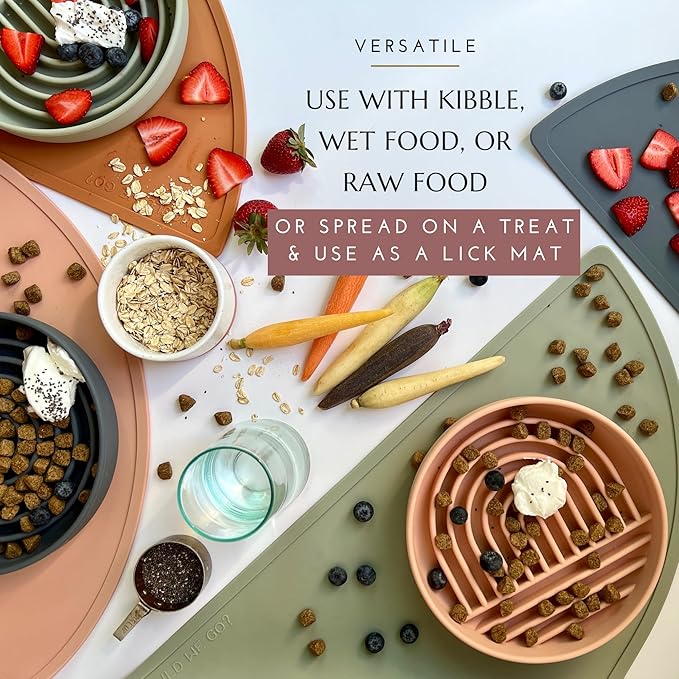 Should We Go? Slow Feeder for Dogs & Cats, The Slowdown Bowl Silicone Slow Eating Mealtime Solution with Modern Lick Mat Design, Reduces Gulping, Fits 1 Cup, 6” Across x 1.25” Tall, Small-Honey