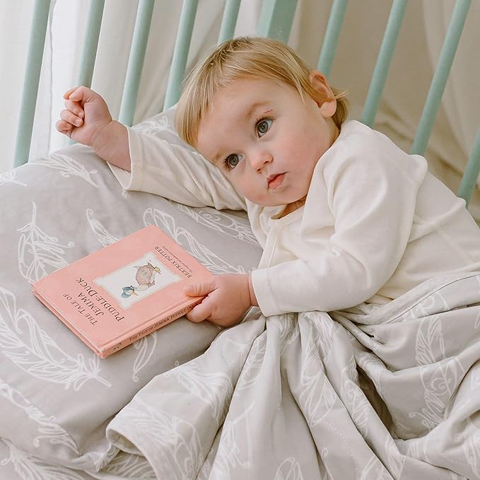 Nest Designs Toddler Pillow with Bamboo Viscose Pillowcase - Feather Grey, Small