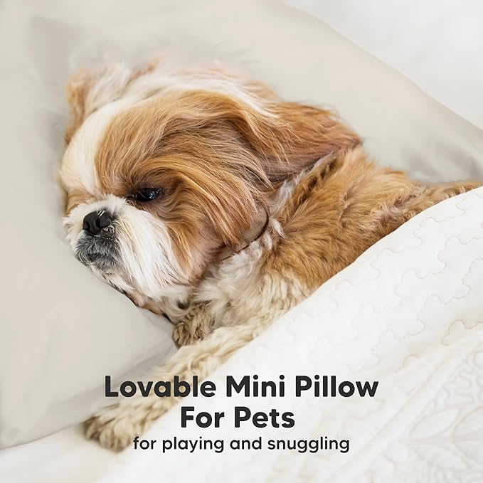 Mini Toddler Pillow with Pillowcase - 9x13 My Little Dreamy Travel Kids Pillow for Sleeping, Toddler Bed, Small, Tiny, Organic Cotton Pillowcase, Soft & Breathable, Kids 2-4 Years Old (Clay)