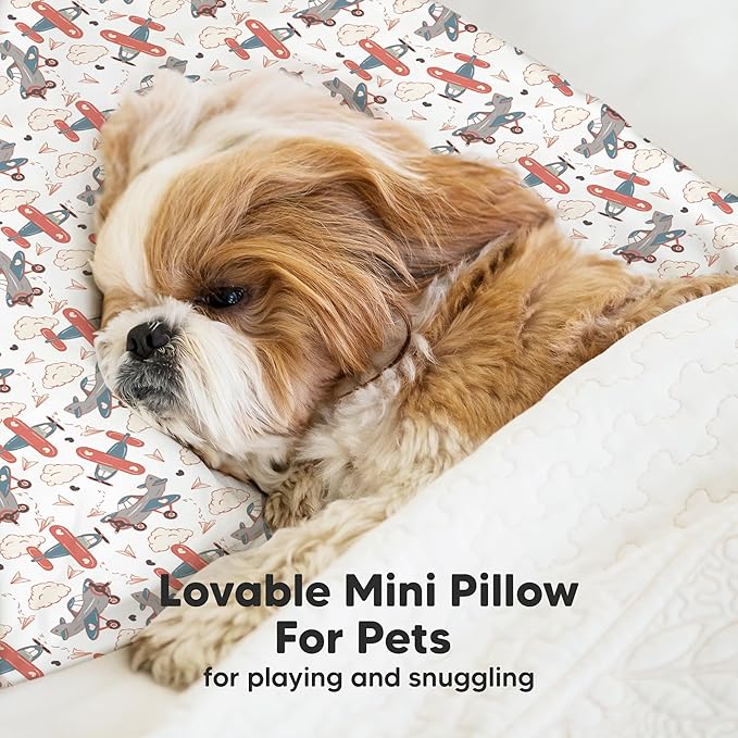 Mini Toddler Pillow with Pillowcase - 9x13 My Little Dreamy Travel Kids Pillow for Sleeping, Toddler Bed, Small, Tiny, Organic Cotton Pillowcase, Soft & Breathable, Kids 2-4 Years Old (Aircraft)