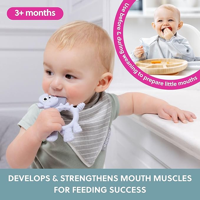 Bibado - Dotty The Dinosaur Teething Toys, Mist - Multi-Sensory Teether - BPA Free Baby Toy - Strengthen Mouth Muscles & Learn Feeding - Dentist Approved - Baby Essentials & Baby Toys - 3 Months+