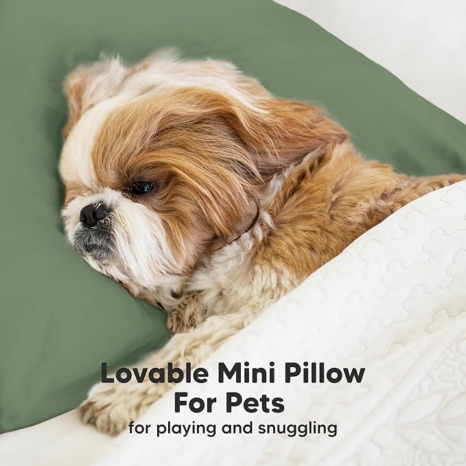 Mini Toddler Pillow with Pillowcase - 9x13 My Little Dreamy Travel Kids Pillow for Sleeping, Toddler Bed, Small, Tiny, Organic Cotton Pillowcase, Soft & Breathable, Kids 2-4 Years Old (Jungle Green)
