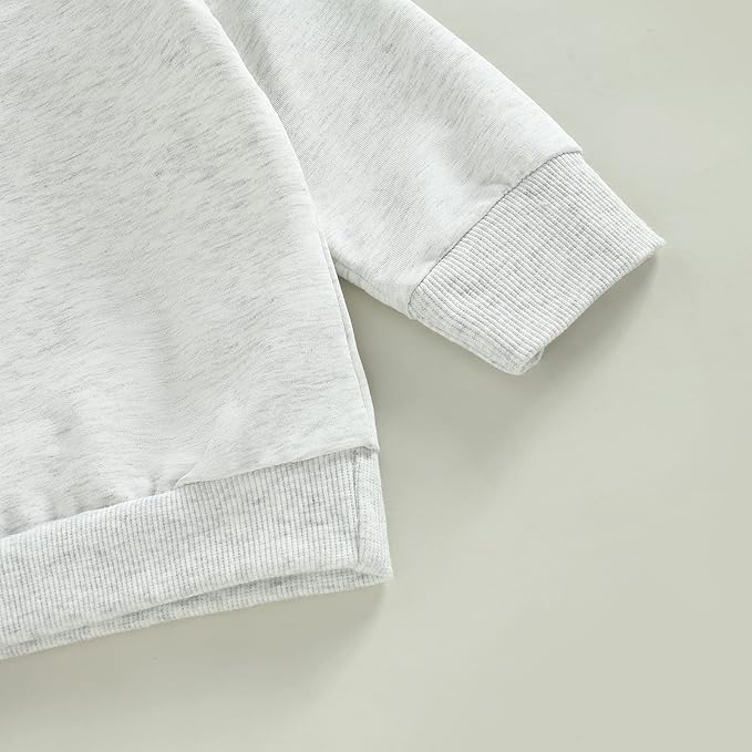 Toddler Baby Boy Clothes Solid Color Long Sleeve Crewneck Sweatshirt Top Casual Pants Set 2Pcs Fall Winter Outfits