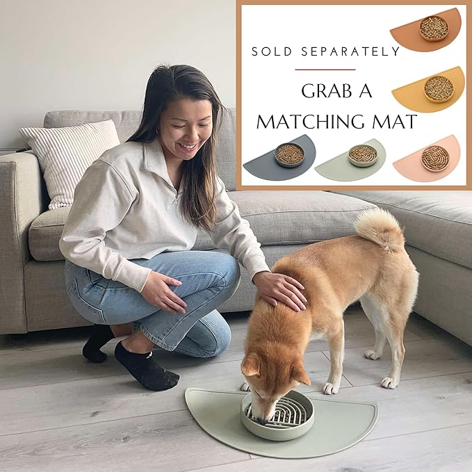 Should We Go? Slow Feeder for Dogs & Puppies, The Slowdown Bowl Silicone Slow Eating, Modern Lick Mat Design, Reduces Gulping, Fits 2.5 Cups 9.5” Across x 1.5” Tall, Mealtime Challenge, Large-Charcoal