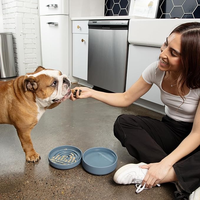 Should We Go? Slow Feeder for Dogs & Puppies, The Slowdown Bowl Silicone Slow Eating, Modern Lick Mat Design, Reduces Gulping, Fits 2 Cups, 7.5” Across x 1.5” Tall, Mealtime Challenge, Medium-Spruce