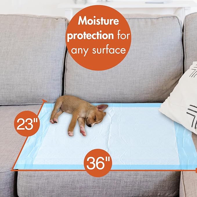 Caring Disposable Underpads 23 x 36 in, Moderate Absorbency Bed Pads, Chucks Pads, Puppy Pads, Baby Changing Pads, Incontinence Underpads for Adults, Pets, Babies, 25 Count Pack
