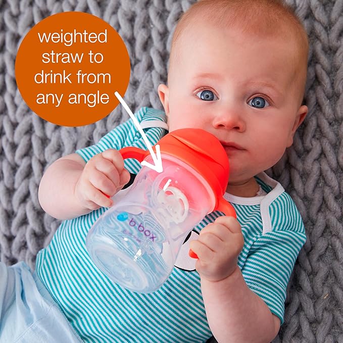 b.box Sippy Cup with Weighted Straw. Drink from any Angle, Leak Proof, Spill Proof, Easy Grip. BPA Free, Dishwasher Safe. For Babies 6m+ to Toddlers (Grape, 8oz)