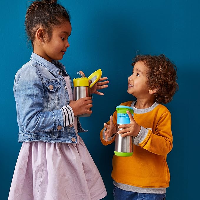 b.box 16.9 oz Insulated Water Bottle - Keeps Drinks Cold 15 Hours, Warm 8 Hours, Triple Wall Stainless Steel Kids Water Bottle w/Free Flow Silicone Straw, Leakproof & Dishwasher Safe