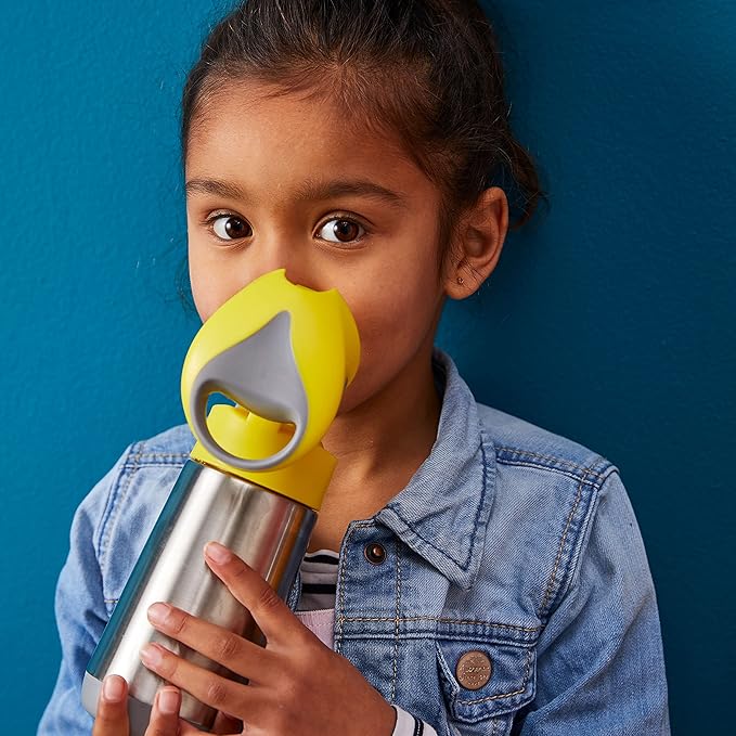 b.box 16.9 oz Insulated Water Bottle - Keeps Drinks Cold 15 Hours, Warm 8 Hours, Triple Wall Stainless Steel Kids Water Bottle w/Free Flow Silicone Straw, Leakproof & Dishwasher Safe