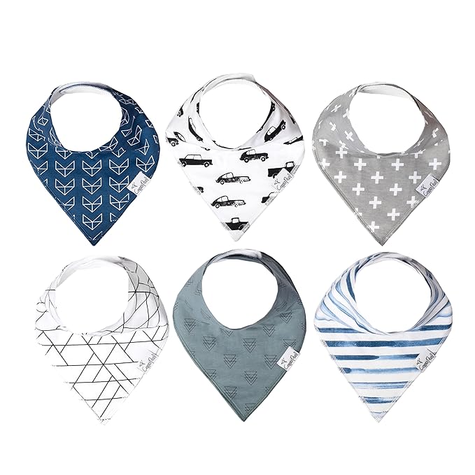 Copper Pearl 6 Pack Soft Cotton Baby Bibs for Drooling and Teething, Absorbent Drool Bibs for Baby Boy, Adjustable to Fit Newborns to Toddlers, Tons of Styles (Rider Set)