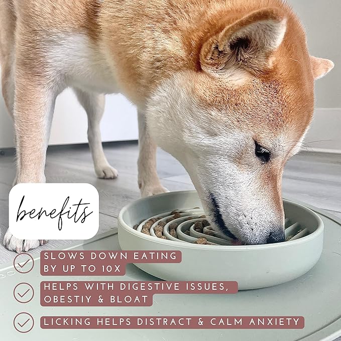 Should We Go? Slow Feeder for Dogs & Puppies, The Slowdown Bowl Silicone Slow Eating, Modern Lick Mat Design, Reduces Gulping, Fits 2 Cups, 7.5” Across x 1.5” Tall, Mealtime Challenge, Medium-Spruce